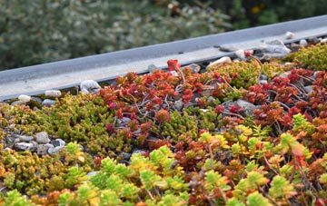 the cost of New Skelton green roof installation