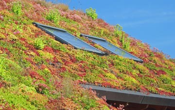 New Skelton living roof systems